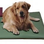 Canine Cooler Cozy Cover Claret Small (Free Shipping Today!)