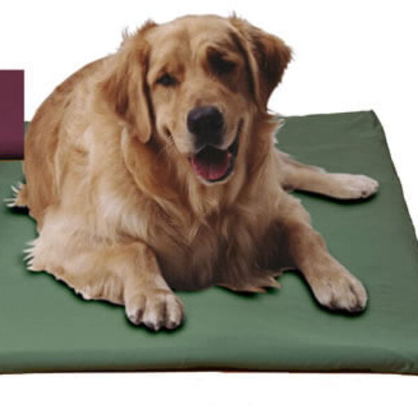 Canine Cooler Cover Cool - Claret, Large (Free Shipping Today!)