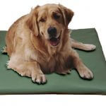 Canine Cooler Cover Cool - Hunter, Small (Free Shipping Today!)