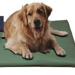 Canine Cooler Cozy Cover Navy Medium (Free Shipping Today!)