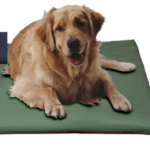 Canine Cooler Cozy Cover Navy Small (Free Shipping Today!)